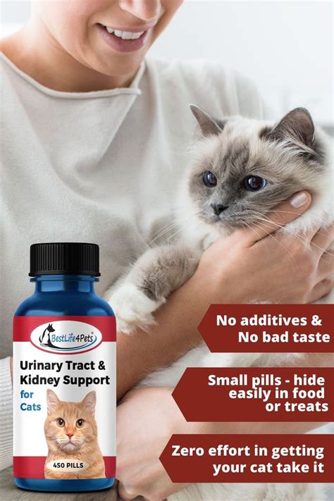 Learn more warning signs to watch for here. Urinary Tract Infection and Kidney Support Remedy for Cats ...