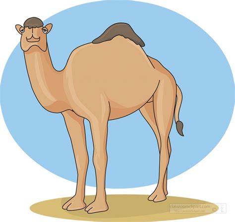 Free One Humped Dromedary Camel Classroom Clipart