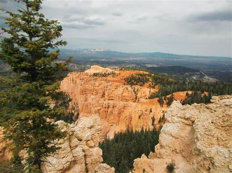 Bryce Canyon National Park In 2011 Photography By David E