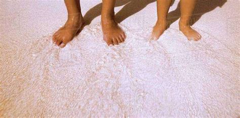 Barefoot On The Beach Stock Photo Dissolve