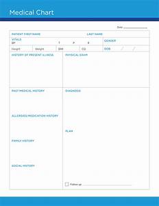 Medication Chart Template For Patients Pdf Template