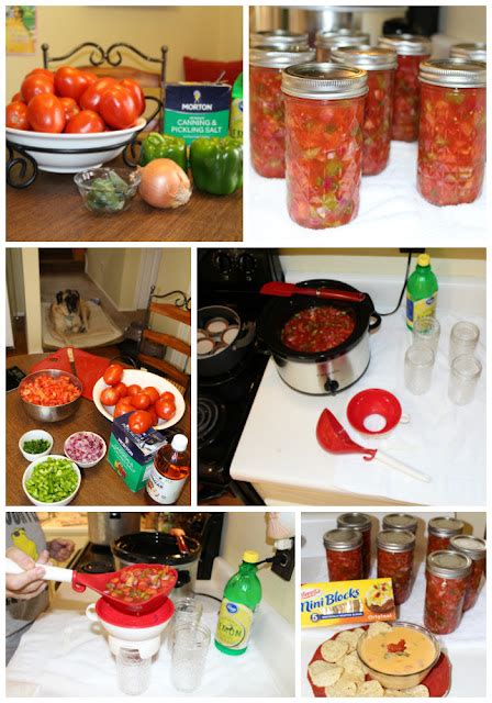 Texas Kirkwoods Canning Rotel Styled Tomatoes And Green Chilies