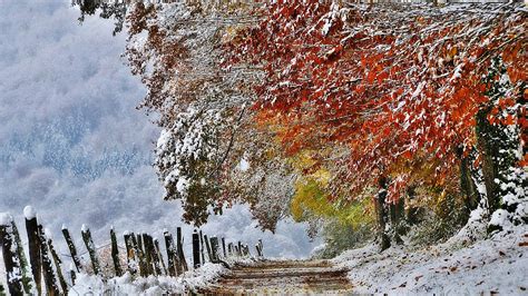 November Snow Wallpapers Top Free November Snow Backgrounds