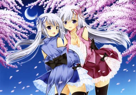 2girls Cherry Blossoms Flowers Gray Hair Japanese Clothes Lolita