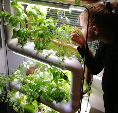 Hydroponic gardening at home is growing plants and vegetables without the use of soil in the comfort of your own house. Hydroponic Gardening for Clean, Green Food - Seytlines ...