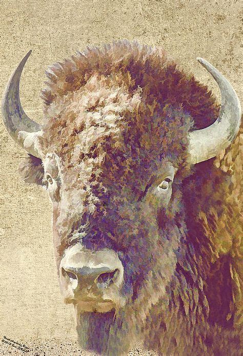 7 Bison Ideas Buffalo Art Bison Art Bison