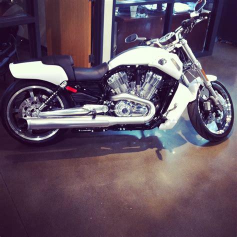 2013 V Rod Muscle In White Hot Denim Bike Culture Harley Davidson