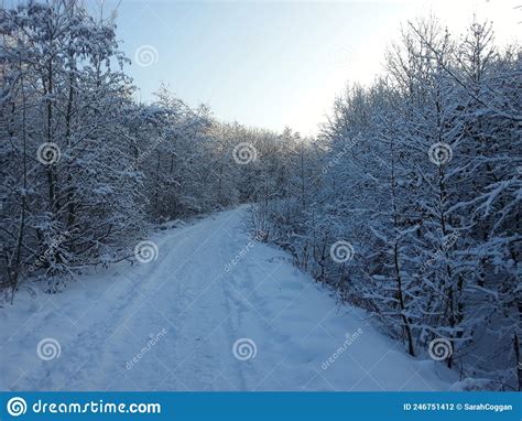 Snowy Path On A Crisp Cold Winters Morning Stock Photo Image Of Path