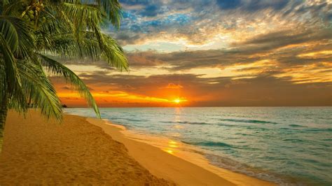 Sunset Sea Summer Palm Sky Tropics Caribbean Paradise Wallpaper Beach Wallpaper Beach