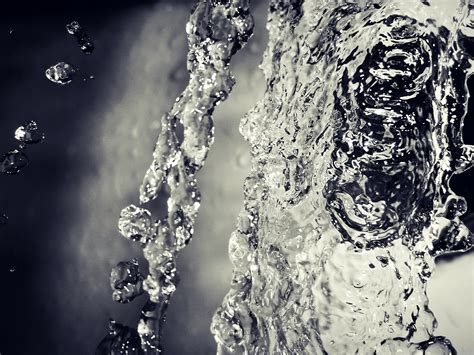 Free Images Liquid Black And White Wet Motion Clear Ice Splash