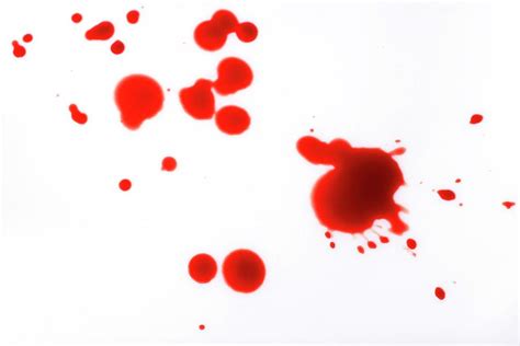 Blood Spatter Photograph By Cordelia Molloy Fine Art America
