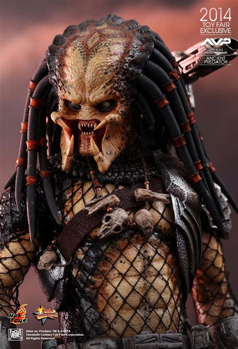 Get great deals on ebay! Ancient Predator (Hot Toys, Sideshow Collectibles) - AvPGalaxy