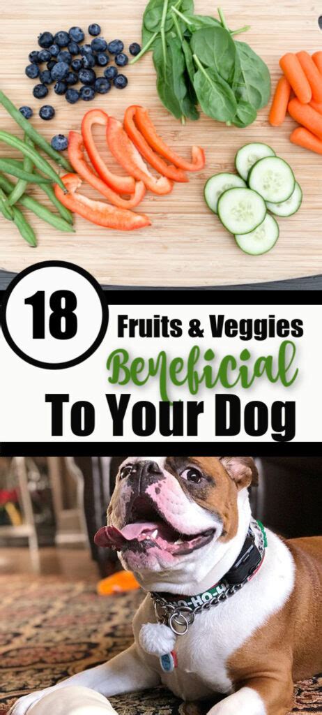 18 Fruits And Vegetables Good For Dogs