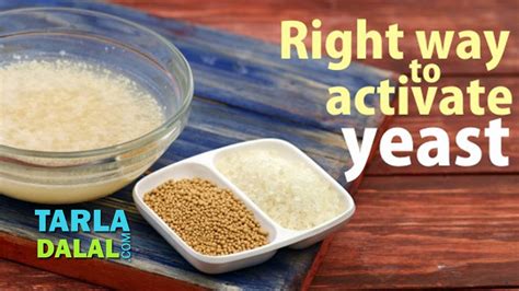 Here´s a video playlist with yeast oriented videos. Right Way to Activate the Dry Yeast by Tarla Dalal - YouTube