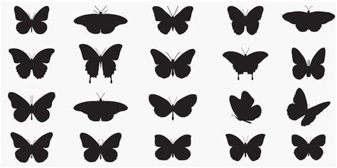 Silhouettes De Papillons Vecteur Premium