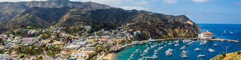 The 16 Best Cruises To Catalina Island Ca 2021 With Prices