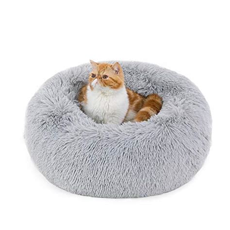 Best Cat Beds Uk 2023 Reviews Washable Igloo And Basket Beds