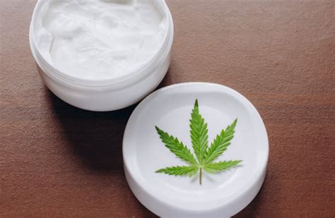 5 Best Cbd Pain Relief Creams Which Is Right For You