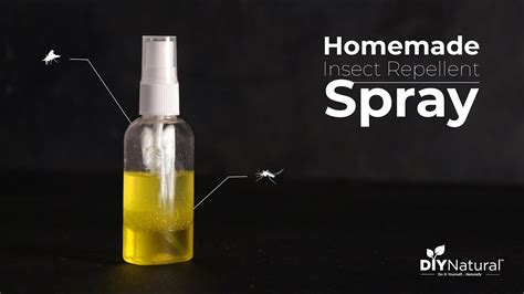 Homemade Diy Mosquito Repellent Spray That Works Diy Natural Youtube