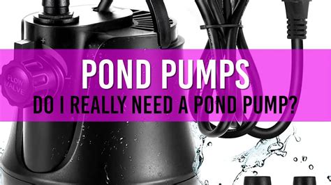 guide to pond pumps do you really need one
