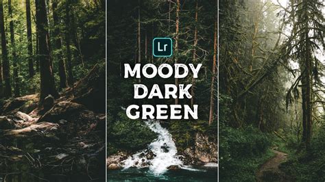 These presets really gonna give your images these presets will bring the exposure down and you'll have dark tones in your image as you see in the before/after imagery below. Moody Dark Green - Lightroom Mobile Presets - AR Editing