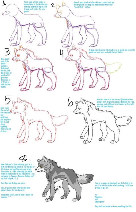 Anime Drawing Tutorial On A Wolf Anime Drawing Tutorials