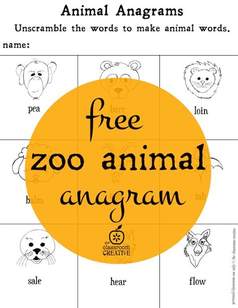 Auf dieser seite können sie anagramme in deutscher sprache online lösen. Zoo anagram freebie for your zoo animal units! | Summer ...