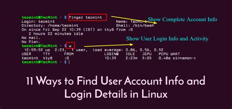 12 Commands To Find User Account And Login Info In Linux Linux Users