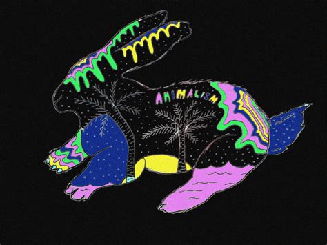 Beach Bunny Animalism Releases Discogs