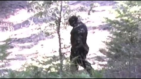 Ai Has Revealed What Infamous Bigfoot Footage Truly Is Indy100