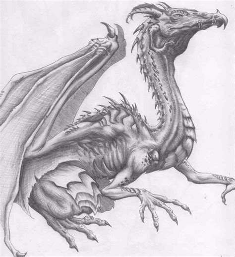 Top 30 Stunning And Realistic Dragon Drawings Mashtrelo In 2021