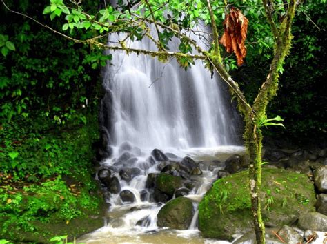 Best Waterfalls To Visit In Dominical Uvita Costa Rica
