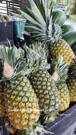 Waktu operasi pos laju mengikut negeri di malaysia. SweetieSaQi: Durian Uncle Lim Di Pekan Nenas.....