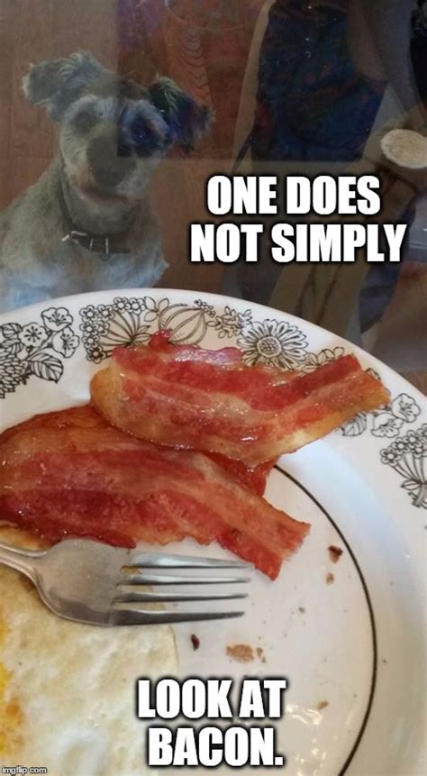 Bacon Dog Imgflip