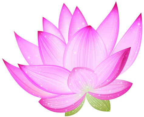 Lotus Flower Png