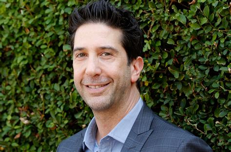 He dated tv personality and former model brandi glanville. 'Friends' Star David Schwimmer Posts Hilarious Response ...