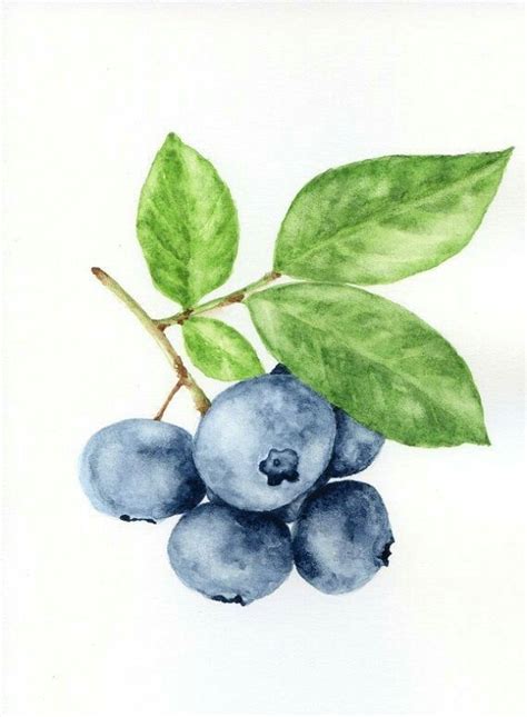Blueberries Watercolor Watercolor Fruit Watercolor Wall Art Original