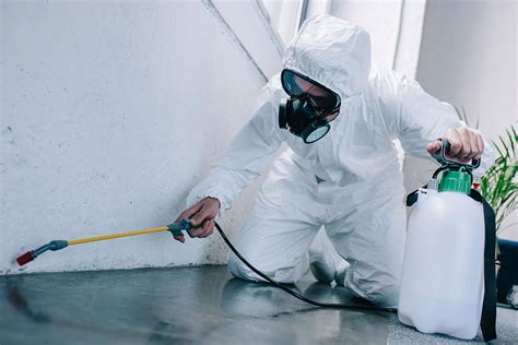 Everything You Need To Know About Pest Control Services