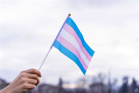 Anti Trans Bills Introduced In At Least 7 States In The First Week Of
