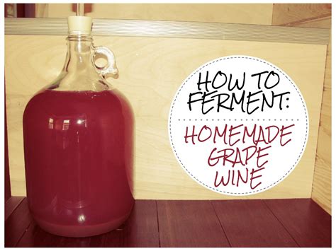 How To Make Wine From Grapes Unugtp News
