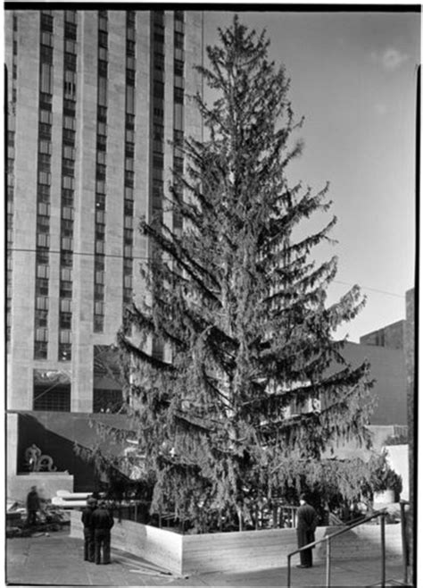 History Of The Rockefeller Center Christmas Tree Daily Mail Online