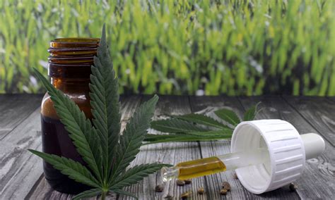 Medical Cannabis Made Available On Prescription In The Uk