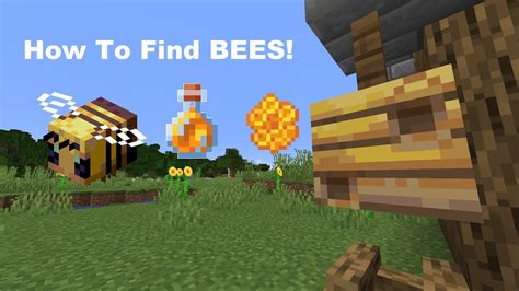 How To Find Bees In Minecraft 116 Youtube