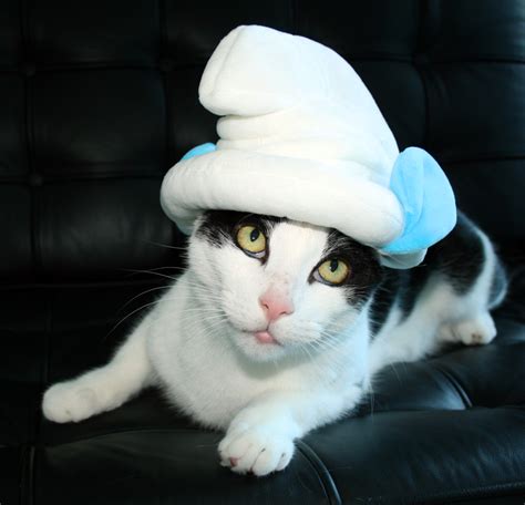 Daisy The Curly Cat Smurfs Up