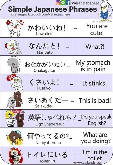 Simple Phrases Basic Japanese Words Japanese Phrases Study Japanese