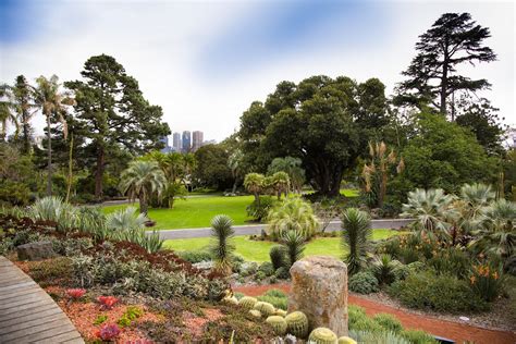 A Guide To Melbournes Royal Botanic Gardens