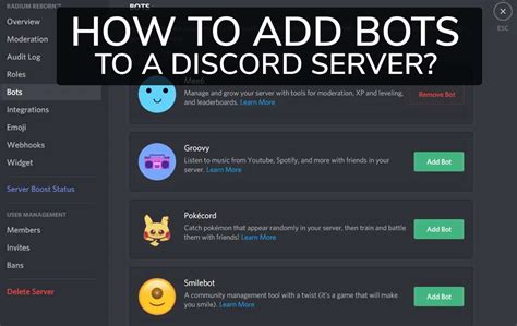 How To Create A Application For Discord Loptopia