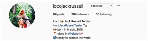 So whatever you do, don't underestimate its importance. 9 Ways to Create the Best Instagram Bio Possible to ...