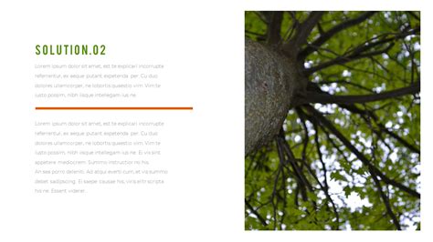 Forestry Powerpoint Templates Design