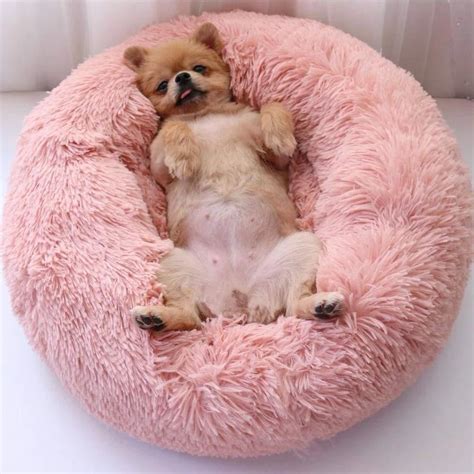 Comfy Faux Fur Pet Bed Dog Pet Beds Faux Fur Pet Bed Pets